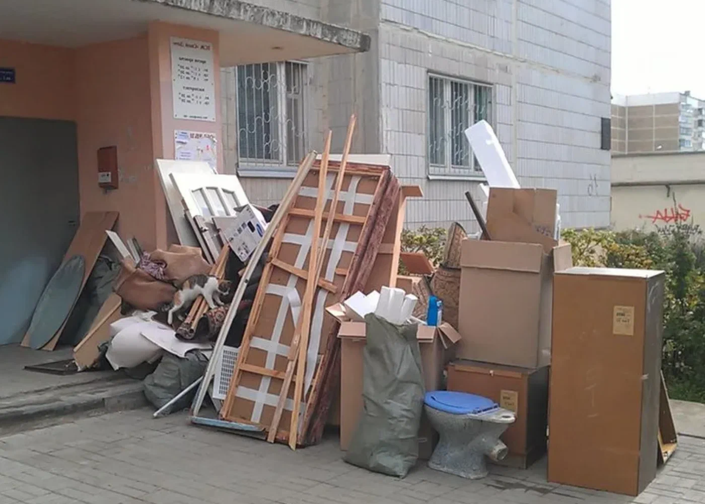 Профессиональный вывоз мусора из квартиры в Приморско-Ахтарске в октябре