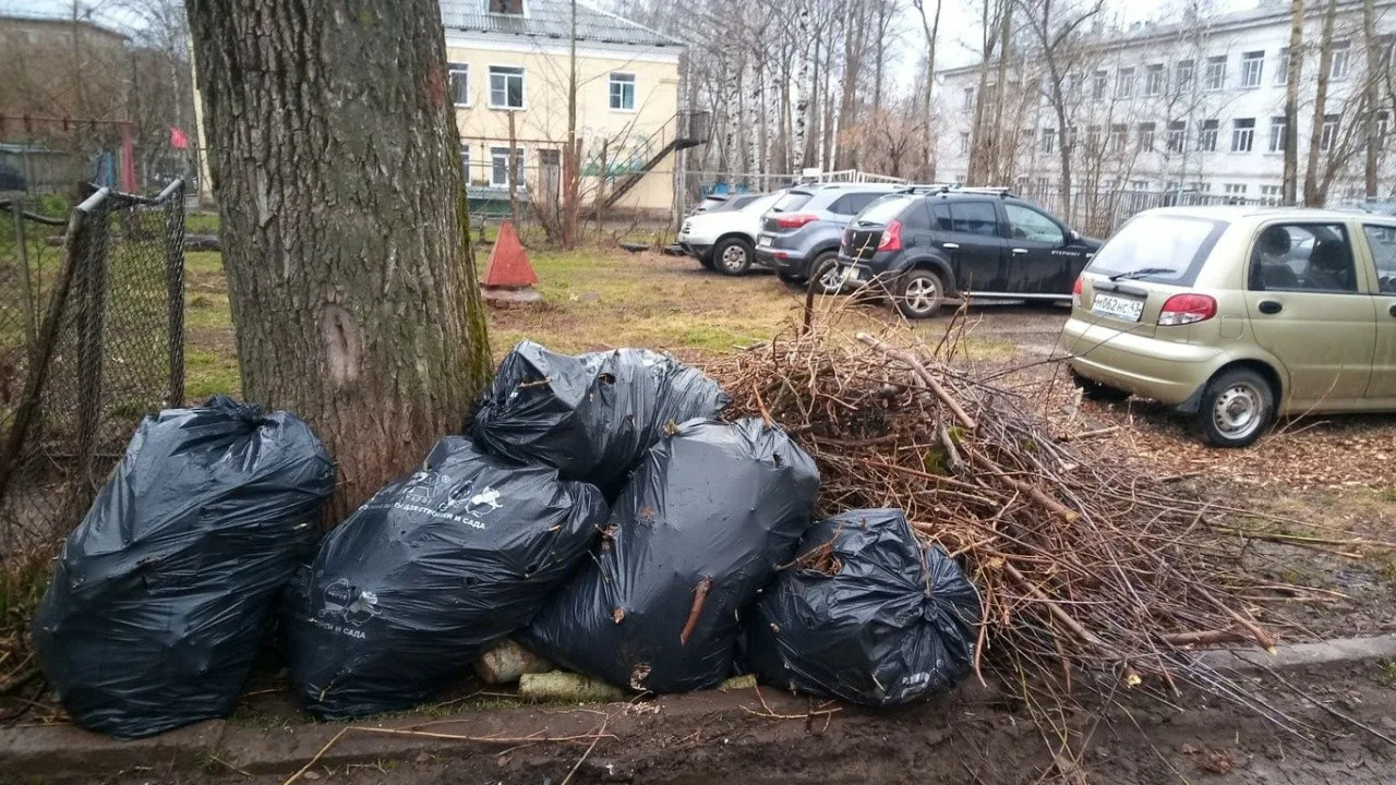 Вывоз мусора после субботника в Приморско-Ахтарске от ПроМусор – уборка и утилизация отходов от 2382 руб