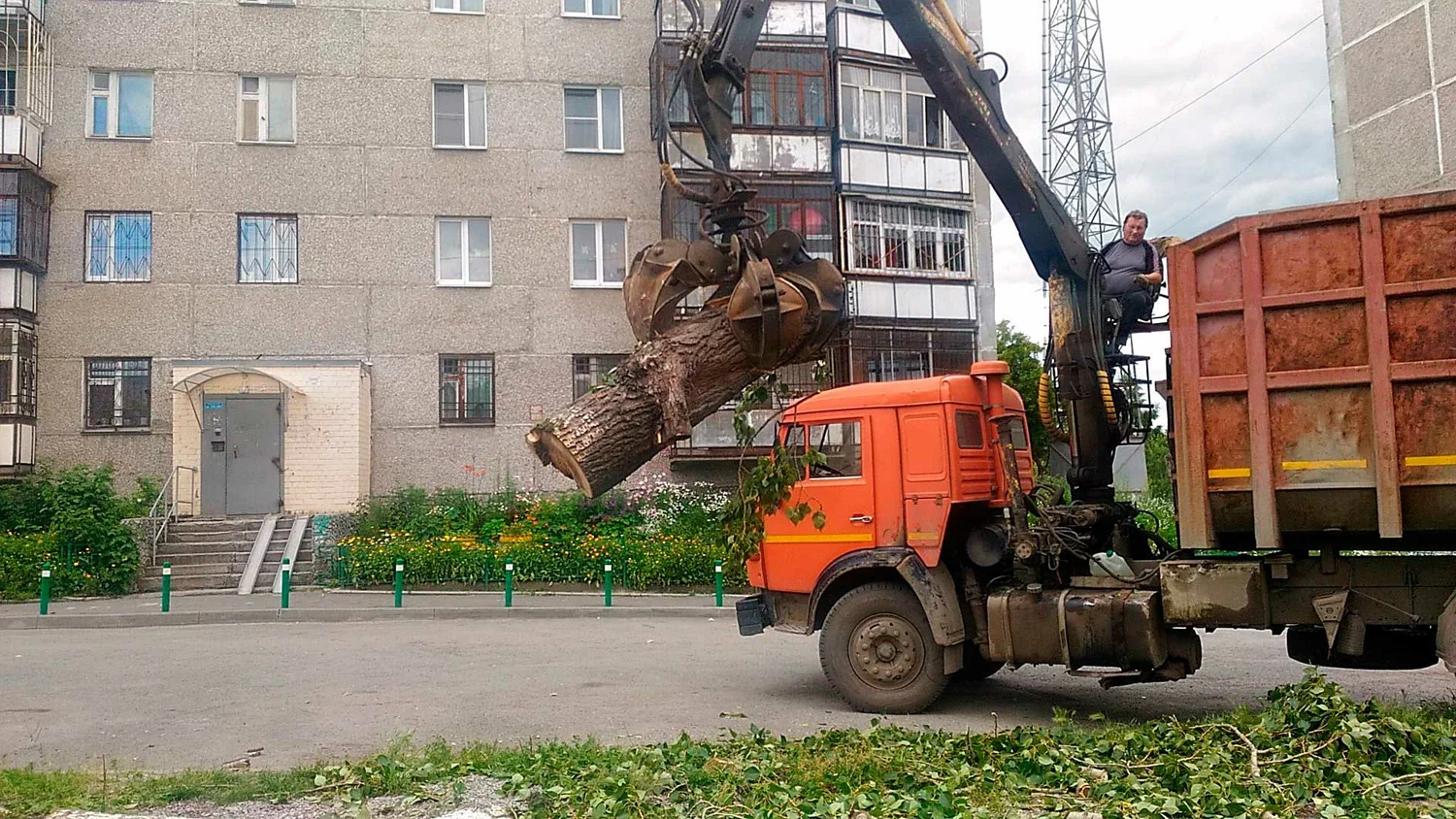 Вывоз спиленных веток и деревьев в Приморско-Ахтарске от ПроМусор: порубочные остатки, утилизация, цена от 2940 руб