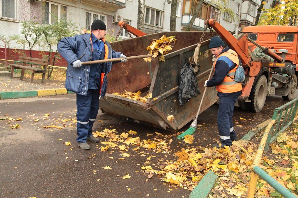 Вывоз опавшей листвы и растительного мусора в Приморско-Ахтарске от ПроМусор – цена от 4562 руб., быстрая уборка и утилизация